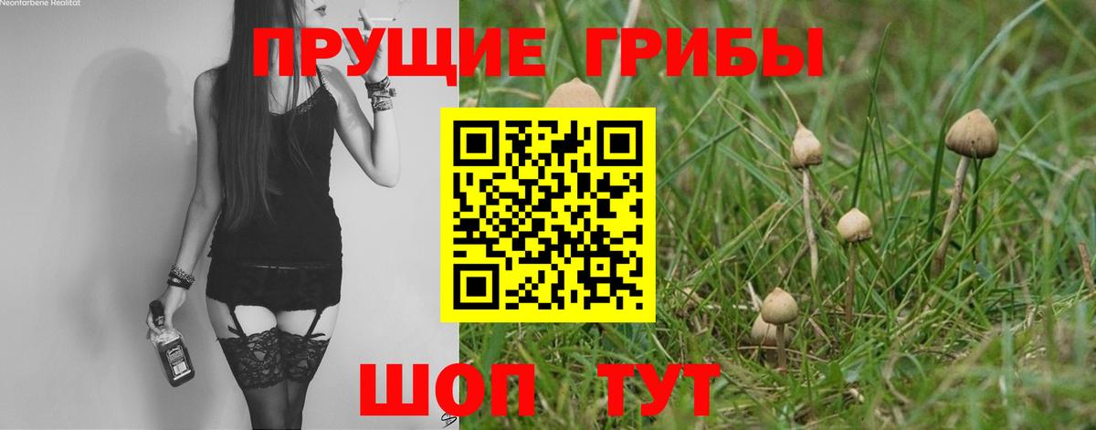 Псилоцибиновые грибы MAGIC MUSHROOMS  Вход с VPN  Галлюциногенные грибы мицелий  Топки 